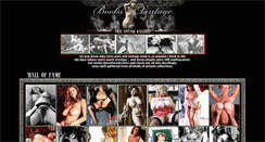 Desktop Screenshot of boobsvintage.com